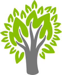 Tree Care Basics: A Starter Guide